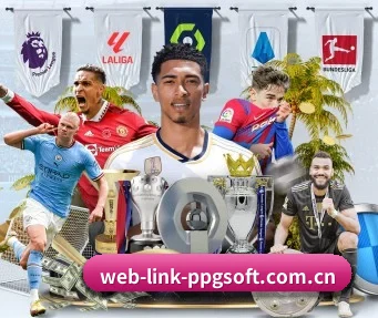 web-link-ppgsoft.com.cn APP 界面