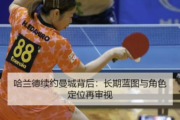 ha-lan-de-xu-yue-man-cheng-bei-hou-chang-qi-lan-tu-yu-jue-se-ding-wei-zai-shen-shi-2-294.jpg